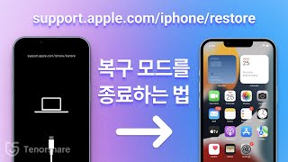 아이폰 supportapplecomiphonerestore 종료하는 방법 [upl. by Sinnal]