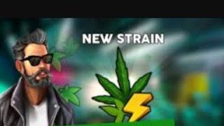 Hempire weed growing game new strains [upl. by Abdel933]