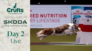 Day 2 LIVE  Crufts 2024 [upl. by Pepillo]