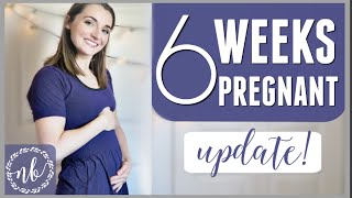 6 WEEKS PREGNANT  Scary Fainting Episode [upl. by Jaan766]