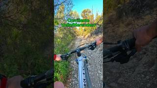 🚀MTB 📍Crevillente desde la vella al merendero mtb bicicleta elche deportes Ciclismo montaña [upl. by Bevus445]