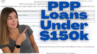 NEW 3508S Form  PPP Loan Forgiveness for loans under 150000  one page forgiveness application [upl. by Merp]