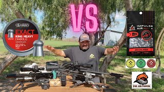 AEA CHALLENGER PRO 25 PELLETS VS SLUGS JSB 3395 GR IMPULSE AIR 26 GR amp ARKEN OPTICS HS4 624X50 [upl. by Suirada185]