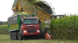 Tolkamp chopping corn [upl. by Suiram984]