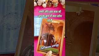 अभी और इस वक्त वो आपके बारे में क्या सोच रहे हैं 💗🥰🍁shorts tarot lovereading [upl. by Idak]