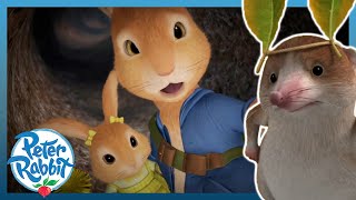 OfficialPeterRabbit  😢🐰 The Shrew Pranks Cottontail 🐰😢  Cartoons for Kids [upl. by Quartus]