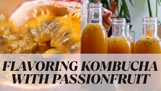 All Time Favorite Kombucha Flavor Passionfruit [upl. by Leugim]