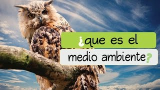 ¿qué es el medioambiente o medio ambiente ☞ EcoSaberes [upl. by Ainala]