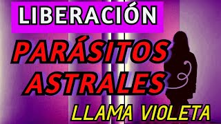 Que es el MOHO ASTRAL LARVAS ENERGETICAS 👉 LIBERACIÓN quotLimpiezaquot 🟣 LLAMA VIOLETA 💜 YO SOY el YO SOY [upl. by Rourke]