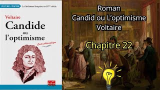 Roman Candid ou loptimisme de voltaire chapitre 22 Audiobook [upl. by Nolyk931]