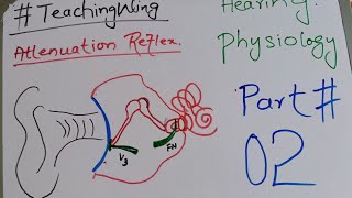 Ear  Hearing Physiology  Attenuation Reflex Part 02 [upl. by Wallack]