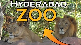 Nehru Zoological Park Hyderabad Zoo India in 4k ultra HD [upl. by Suoirad786]