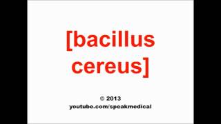 Pronounce Bacillus cereus  SpeakMedical [upl. by Kazim248]