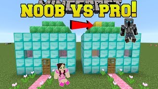 Minecraft NOOB VS PRO  SPOT THE DIFFERENCE  MiniGame [upl. by Rramel478]