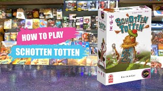 How to Play Schotten Totten  Board Game Rules amp Instructions [upl. by Teloiv]