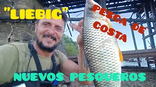 COSTA BOGUERA PESCA DE BOGAS DE COSTA LIEBIG ENTRE RÍOS FRITANGA EN URUGUAY [upl. by Suoirtemed]