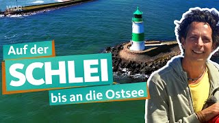 Die Schlei – Naturparadies am Ostseefjord  WDR Reisen [upl. by Ruberta761]