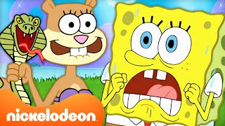 30 Minutes Of SpongeBob amp Sandy’s TREEDOME TROUBLE  Nickelodeon Cartoon Universe [upl. by Pelagia]