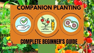 Complete Beginners Guide to Companion Planting [upl. by Bernadette945]