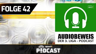 Kein Elfer für Hansa Darum hat der Schiri alles richtig gemacht I Audiobeweis  Der 3LigaPodcast [upl. by Duyne]