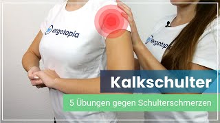 Kalkschulter  5 Übungen gegen Deine Schulterschmerzen [upl. by Nylteak]