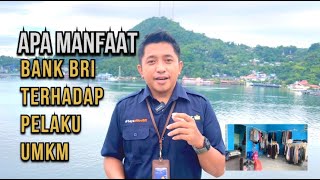 Manfaat BRI bagi UMKM Di Indonesia [upl. by Heidy]