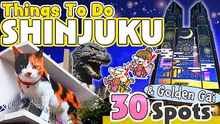 Things to do in Shinjuku Tokyo  Japan Travel Ultimate Guide  Food and Tips 2024 [upl. by Holsworth699]