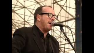 Elvis Costello  Everyday I Write the Book  7251999  Woodstock 99 East Stage Official [upl. by Assyral]