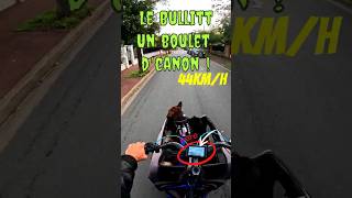 Test de Vitesse avec mes 2 Bully bouledogueamericain americanbully bullitt cargobike dogbike [upl. by Lonnard]