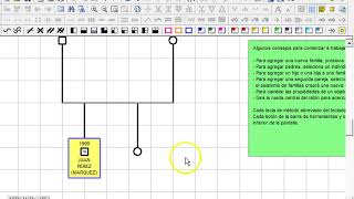 Cómo realizar un genograma [upl. by Tereve]