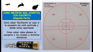 Como mejorar tus disparos con escopeta Segunda parte [upl. by Eran17]