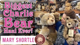 Biggest Charlie Bear Haul Ever [upl. by Bartlett]