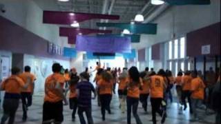 Avondale Senior Lip Dub Time of our Life 2011 [upl. by Griffis]