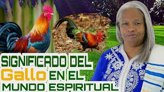 Martha Candela Significado Del Gallo 🐓 En el Mundo Espiritual [upl. by Podvin]