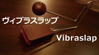 Vibraslapビブラスラップ [upl. by Pember726]