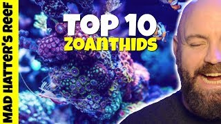 Top 10 Zoanthids for a Reef Tank [upl. by Matazzoni]