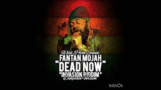 Fantan Mojah  Dead Now Invasion Riddim Dubplate Version by Wild Pitch Sound [upl. by Ddot261]