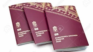 WHY ITS IMPOSSIBLE TO RENEW YOUR SWEDISH PASSPORT UNTILL SEPTEMBER NO SUMMER HOLIDAYS FOR SWEDES [upl. by Yelyak]