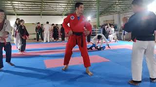 Hapkido kicks fight selfdefense technique learning 31 [upl. by Nolyk]