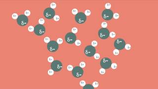 Polar Bonds and Molecules [upl. by Cyn]