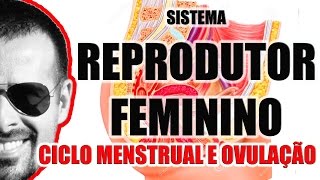 Ciclo Menstrual menstruação e Ovulação  Sistema Reprodutor Feminino  VideoAula 050 [upl. by Anauqaj961]