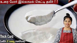 இந்த 2 tips போதும் வீட்ல எப்போதும் கெட்டி தயிர் செய்யலாம்👌  How to make thick curd  Thick Curd [upl. by Lasiaf249]