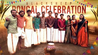 Blacksheep Pongal Celebration🥳💥  Blacksheep [upl. by Aynatan72]