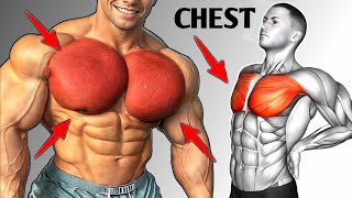 5 Best Chest Workout At Home  No Equipment  Best Chest Exercise [upl. by Eyla]