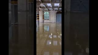 Clear resin flooring Diamond grind and high build resin coating [upl. by Ennaoj]