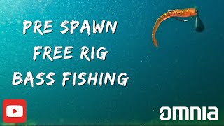 Free Rig bass fishing in the Pre Spawn  Incredible Underwater Footage [upl. by Brittnee]