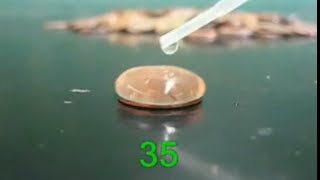 Hydrogen Bonding Water Drops On A Penny [upl. by Shiff]