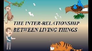 CLASS 4  THE INTERRELATIONSHIP BETWEEN LIVING THINGS  EVS  LESSON 2  EXPLAINER VIDEO [upl. by Acenes]