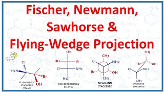 Fischer Newman Sawhorse and FlyingWedge projections [upl. by Bibbie]