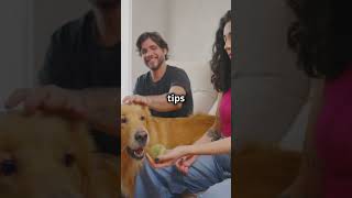 Quick Tips for Easing Dog Separation Anxiety [upl. by Adnahcal947]